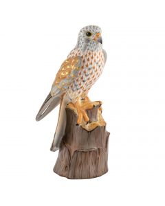 American Kestrel
