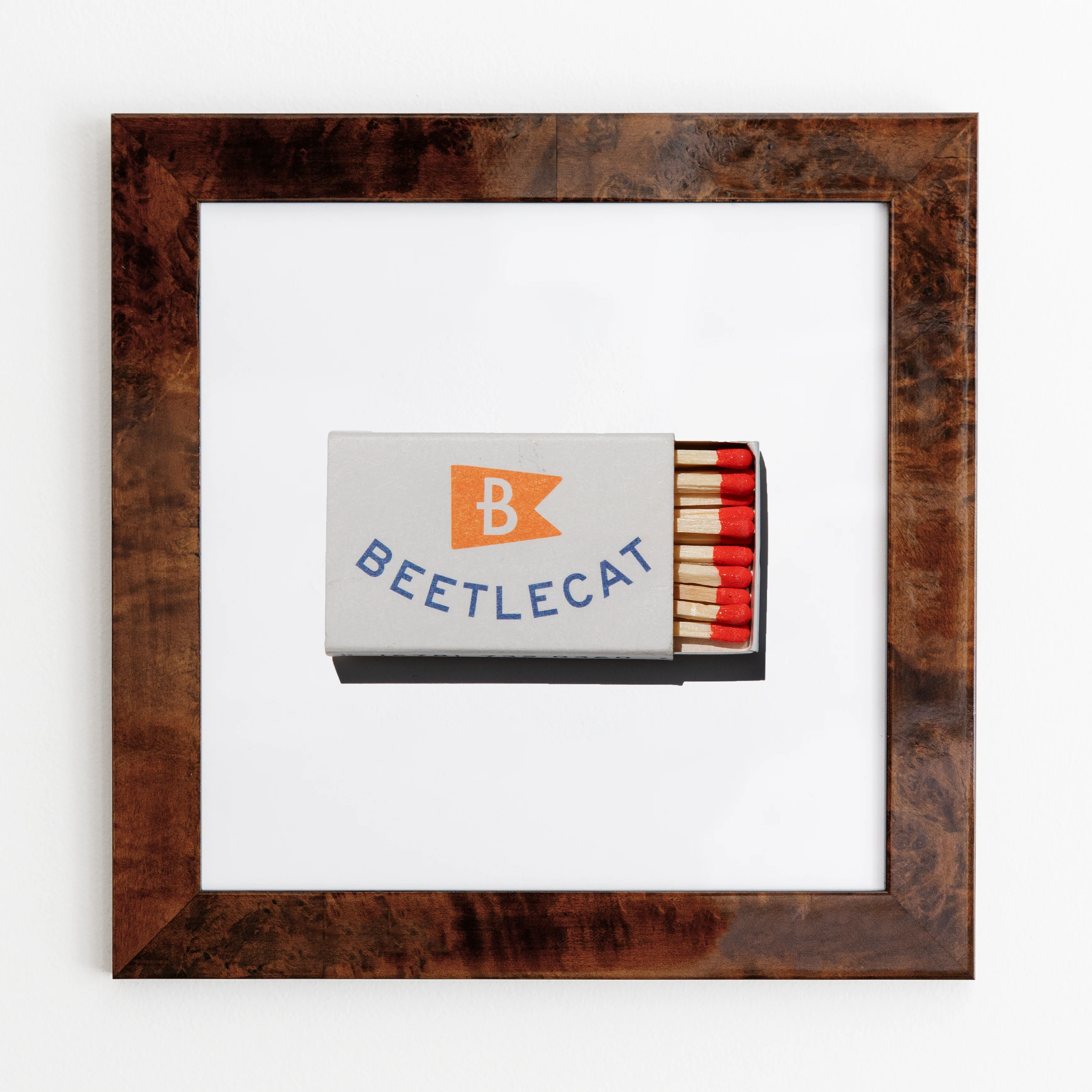 Beetlecat