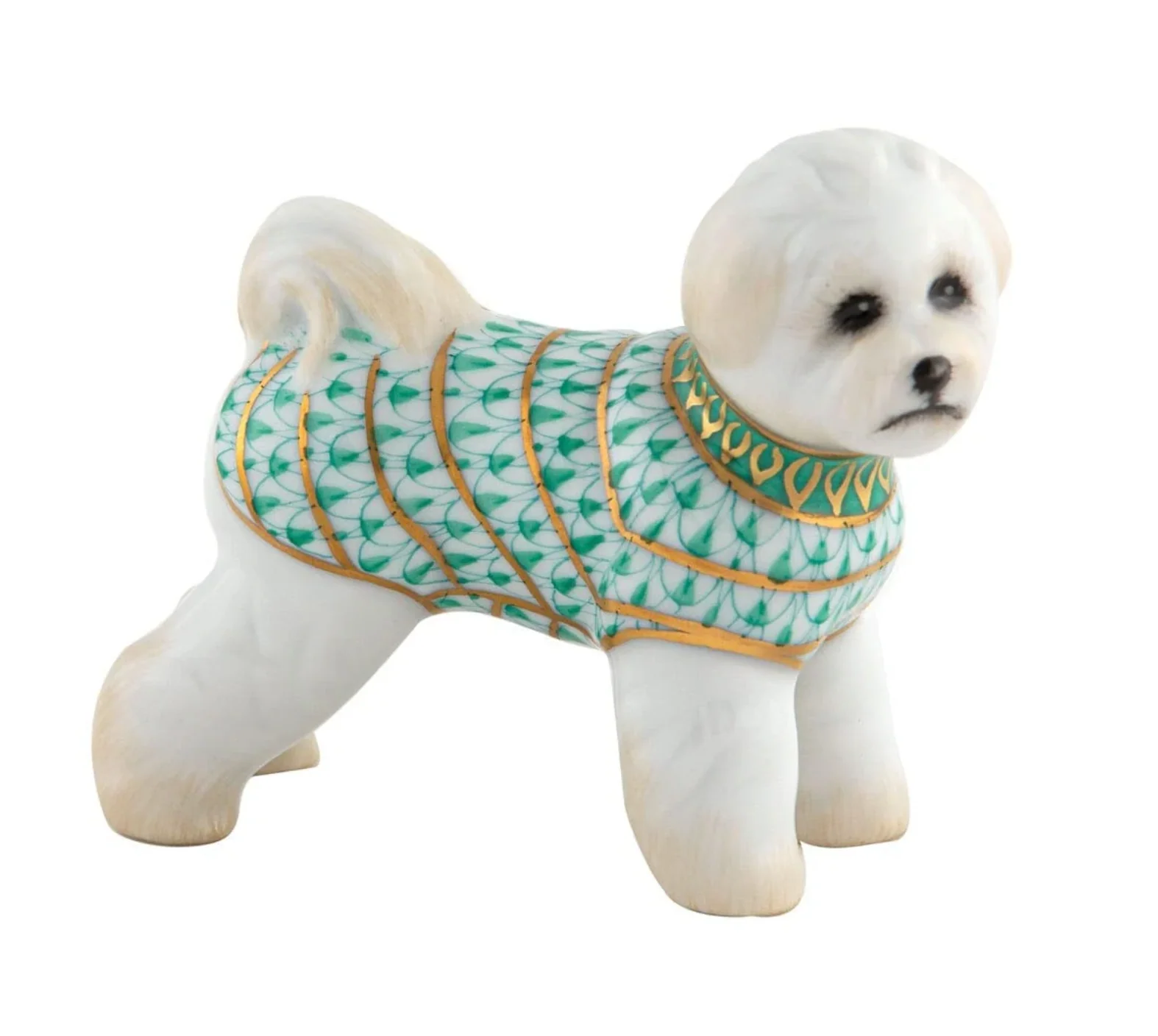 Bichon Frise - Image 8