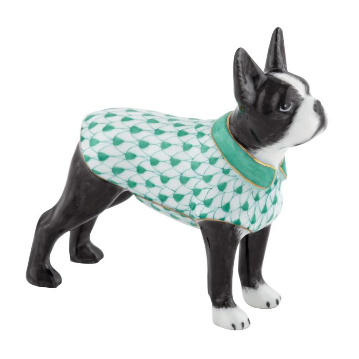 Boston Bull Terrier - Image 3