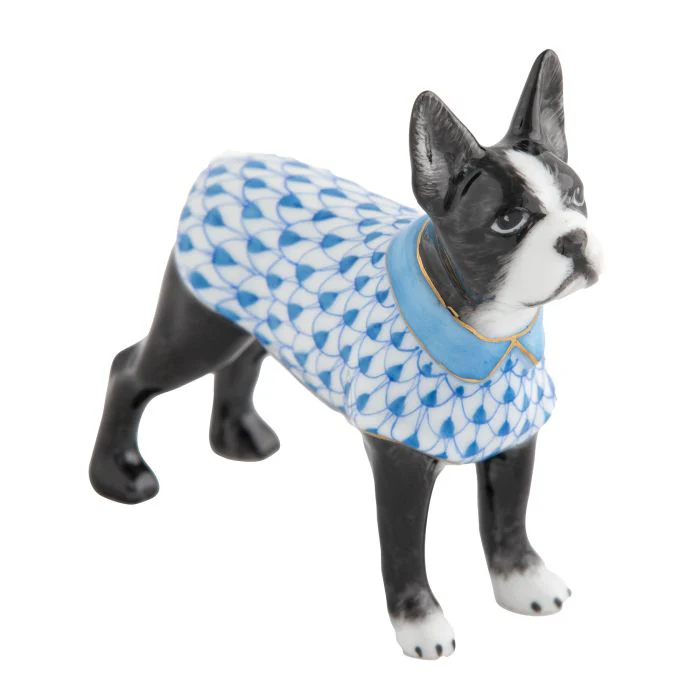 Boston Bull Terrier - Image 4