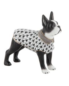 Boston Bull Terrier - Image 7