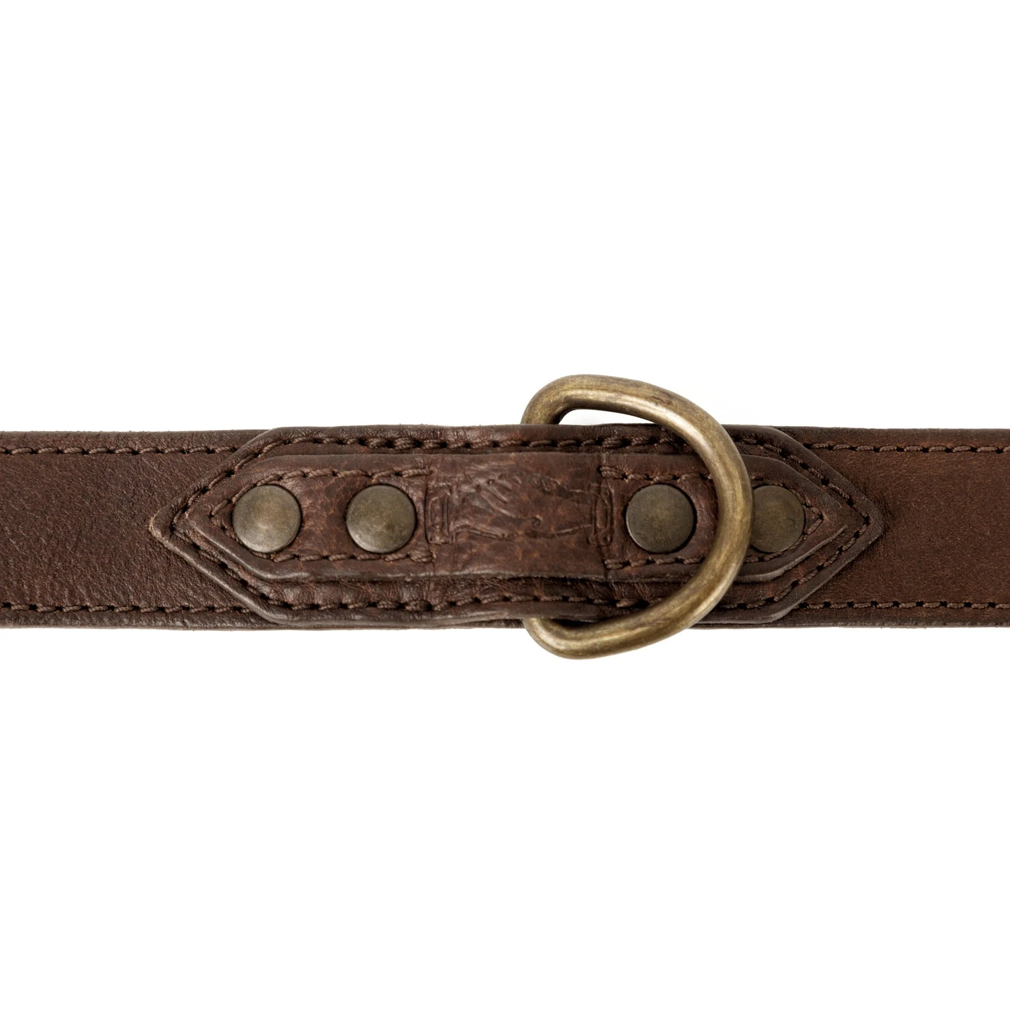 Campaign Leather Dog Collar - Image 5