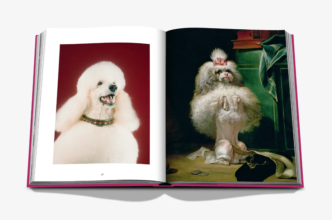 Chic Dogs - Image 5
