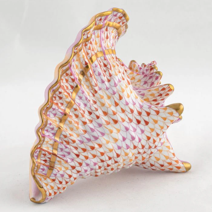 Conch Shell - Image 2