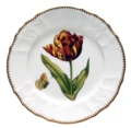 Anna Weatherley Old Master Tulips Salad Plates