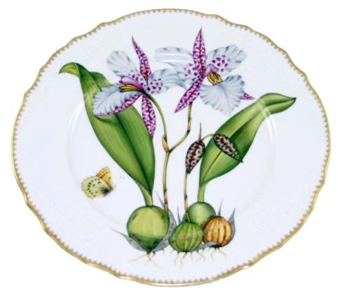 Anna Weatherley Orchids Dinner Plates - Image 2