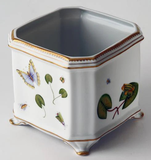 Anna Weatherley Seascape - Waterlily Frog Cachepot