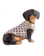 Dachshund With Sweater - Image 8