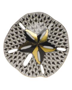 Sand Dollar 3"d - Image 2