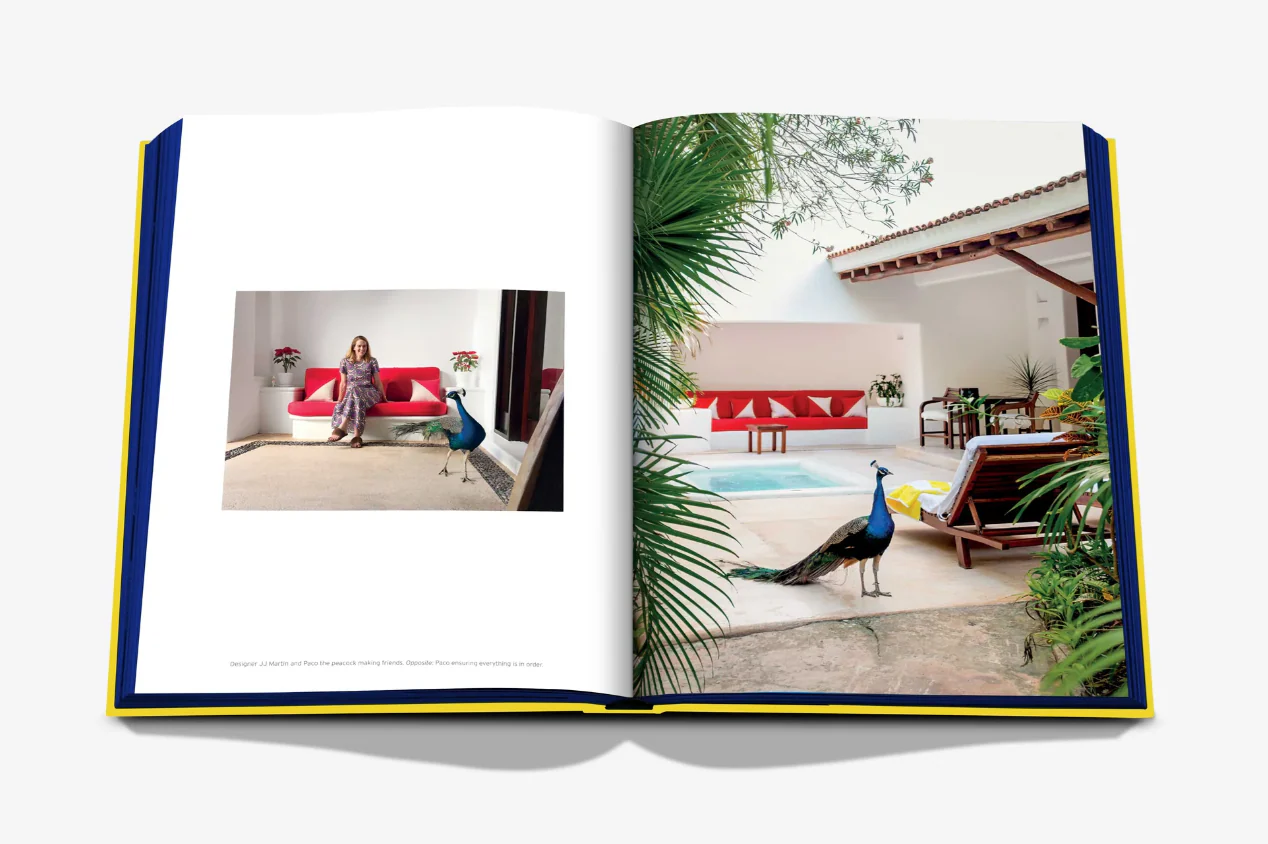 Hotel Esencia - Image 5