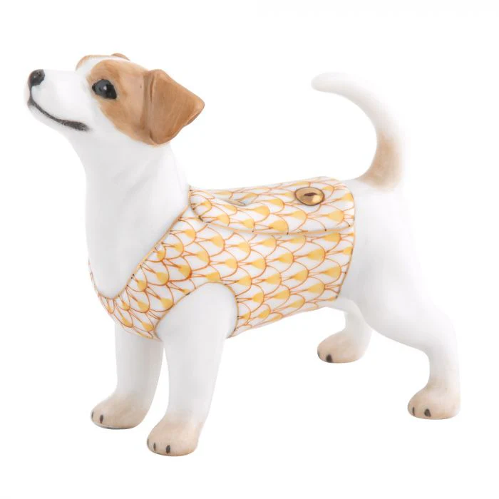 Jack Russell Terrier - Image 5