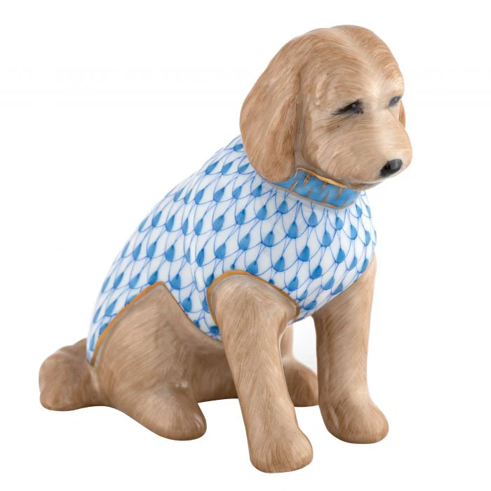 Labradoodle - Image 3