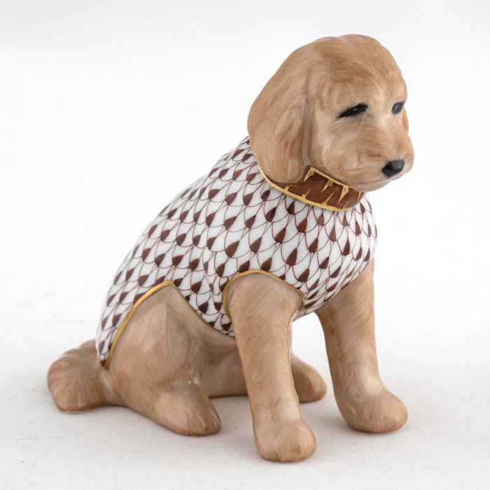 Labradoodle - Image 4