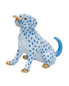 Max with Bone - Image 2