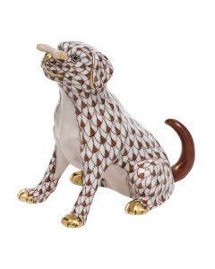 Max with Bone - Image 3
