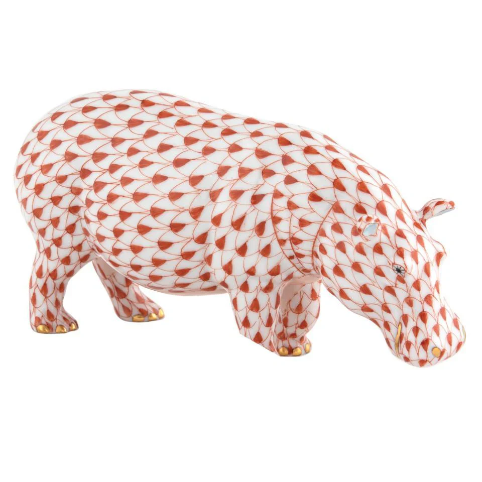 Medium Hippopotamus