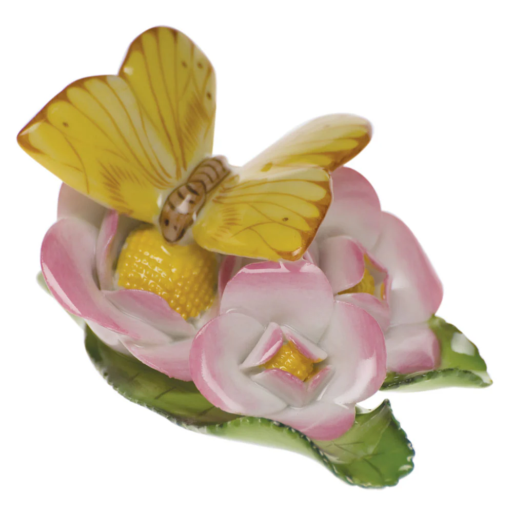 Butterfly On Flowers