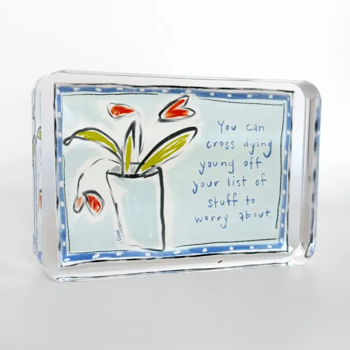 Not A Worry Acrylic Block