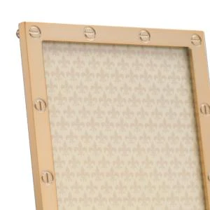 Polished Gold Metal Frame Screw Design - Image 2