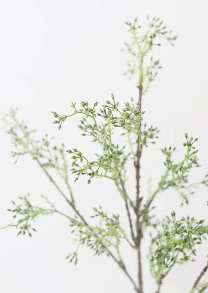 Seeded Long Eucalyptus Stem