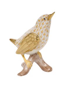 House Wren - Image 4