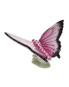 Butterfly - Image 3