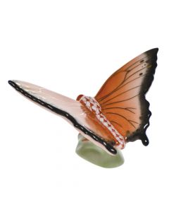 Butterfly - Image 4