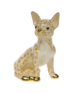 Chihuahua - Image 4