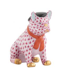 French Frenchie - Image 5