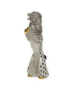 Miniature Begging Poodle - Image 2