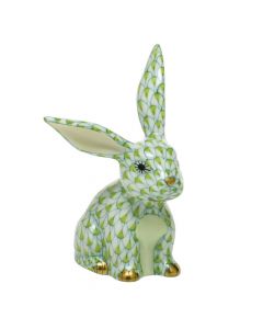 Funny Bunny - Image 5