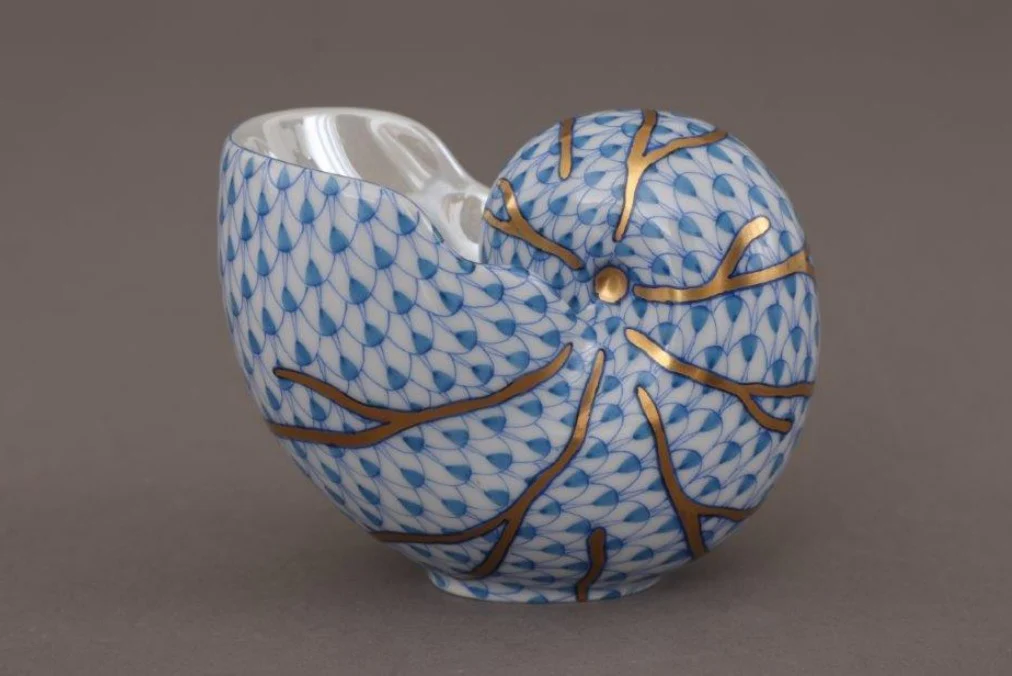 Small Nautilus Shell - Image 2
