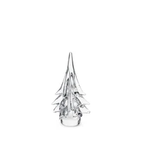 Spruce Evergreen - Image 2