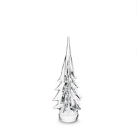 Spruce Evergreen - Image 3