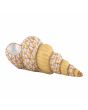 Staircase Shell - Image 9