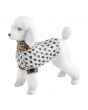 Toy Poodle - Image 3