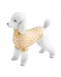 Toy Poodle - Image 9