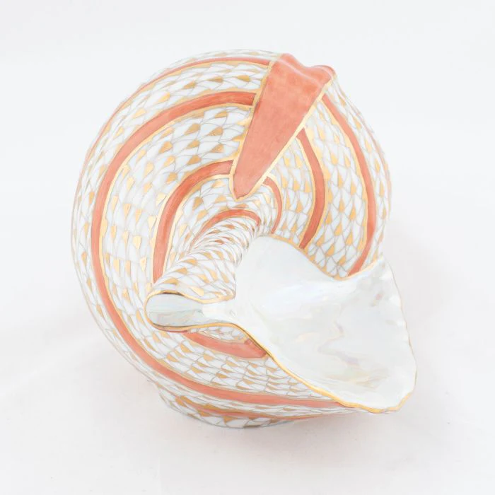Triton Shell - Image 2