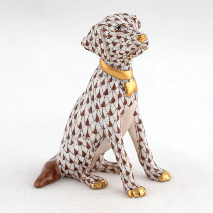 Young Golden - Image 3